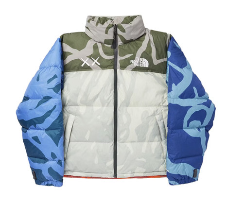 Kaws the north face retro - x,