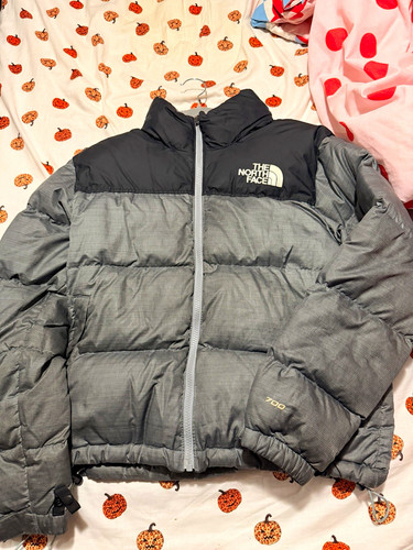 The north face 1996 - 1996, retro