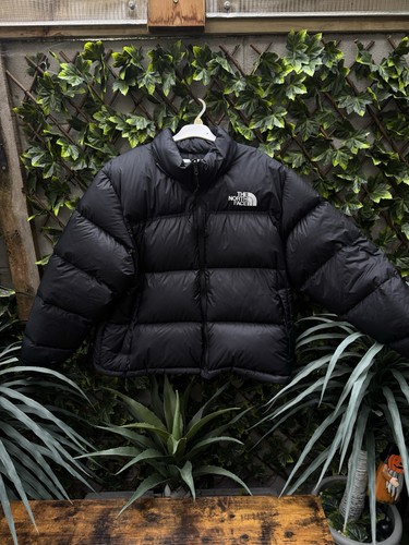 The north face - north, 1996