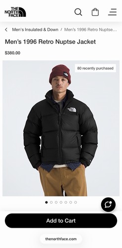 The north face 1996 - the, retro
