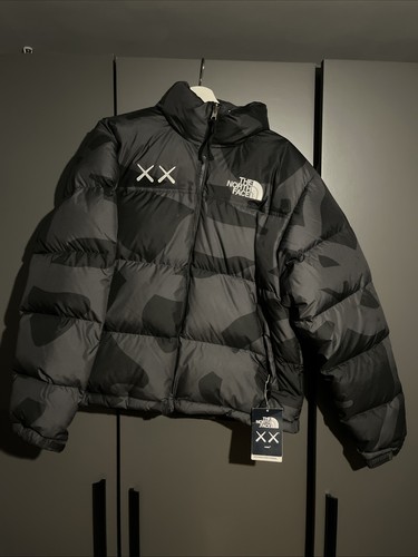 Kaws the north face - x,